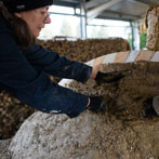 Kigbeare Kiln Project - Brigitte